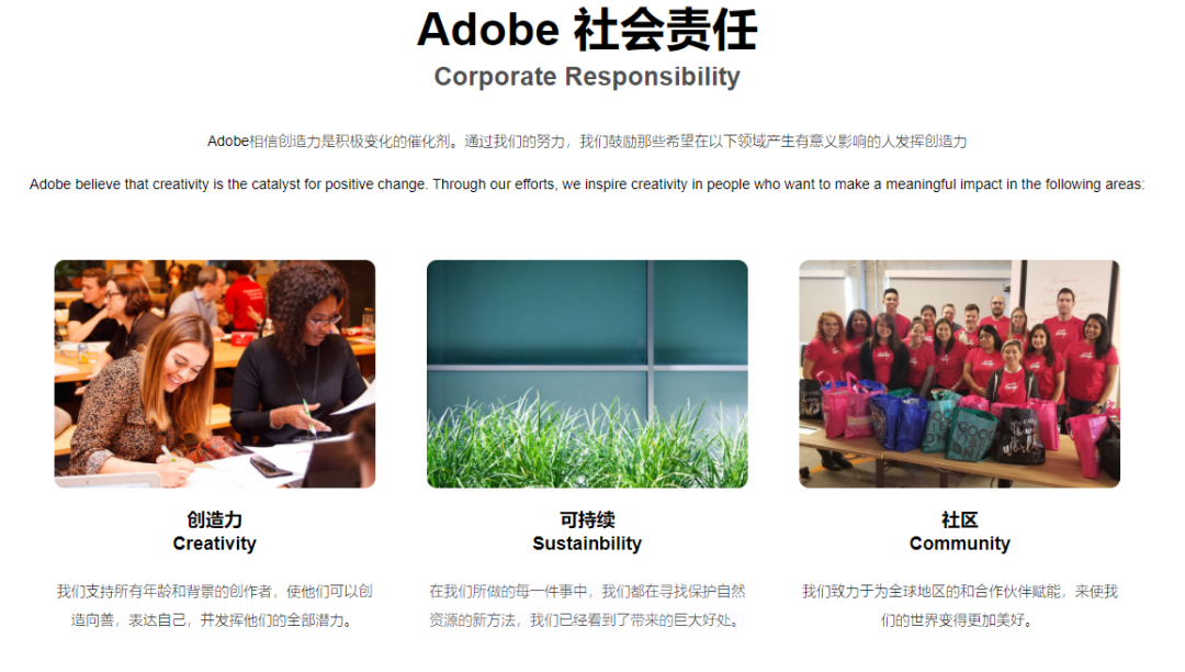 Adobe|企业并购M&A虚拟实习